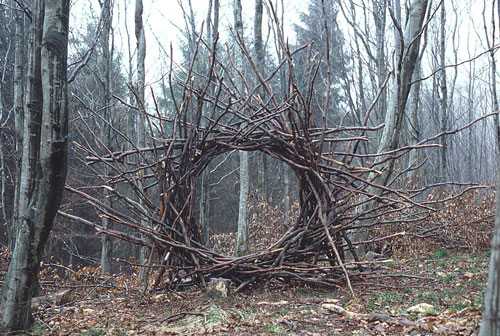 Goldsworthy1 500