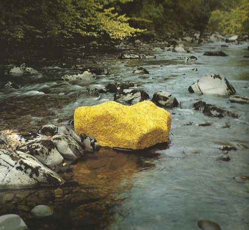 Goldsworthy iepenblad 500jpg