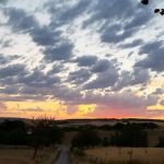 Na een dag beeldhouwen is een avondwandelingetje heel fijn. Afgelopen week met regelmatige mooie zonsondergangen. 
Vanmiddag start een nieuwe groep, de laatste week van het seizoen in Frankrijk.

#beeldhouweninfrankrijk @chateaumelay #sunsets #creatievevakantie #beeldhouwcursus #hautemarne